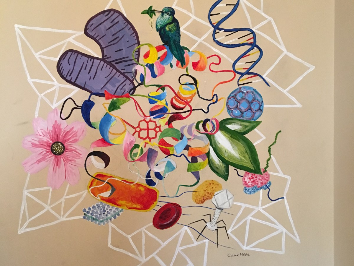 Claire’s art in the local watering hole…